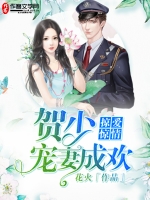 掠爱惊情：贺少宠妻成欢