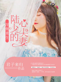 涅槃重生：陆少的心尖妻